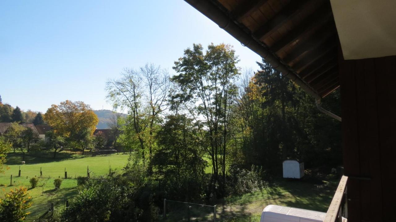 Fewo Mit Balkon Direkt Am Wald Und Wanderweg Ruhe Pur 2 Og Бад-Закса Экстерьер фото